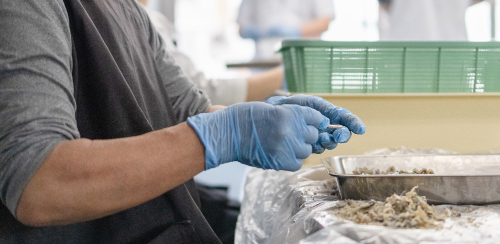 アンチョビのお話し1