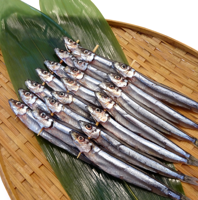きびなご 目刺し